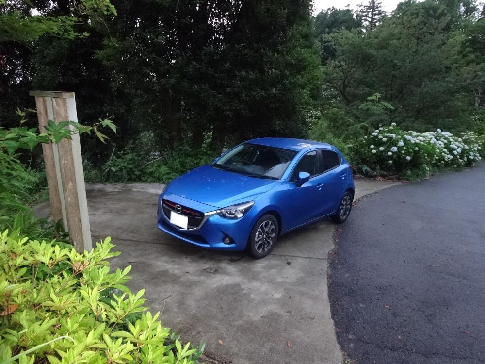 DSC00530 - コピー.JPG